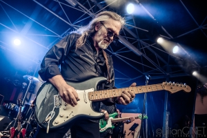 JOHNNY HALLYDAY ROCK'N'ROLL SHOW