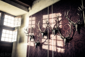 Chambord2025_France2_LilianGinet_1620WM005