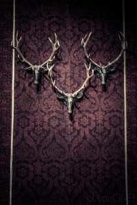 Chambord2025_France2_LilianGinet_1620WM069