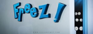 Freez ! Bandeau Facebook Web Série