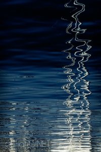 Premiere vision d'Yt