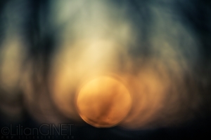 Pyrograph Sunset 2020 © Lilian Ginet