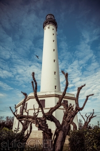 Phare 9