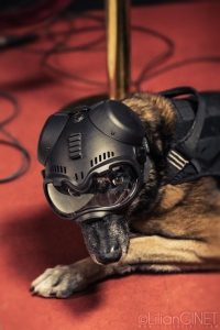 FortBoyard2024_France2_LilianGinet_1620WM160